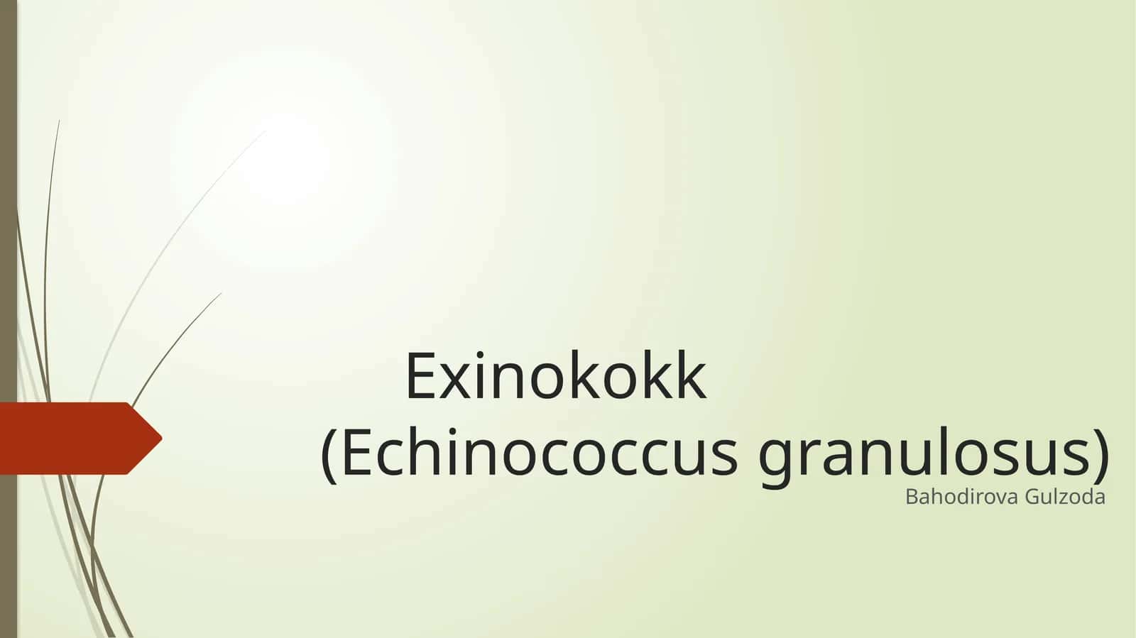 Exinokokk(Echinococcus granulosus)