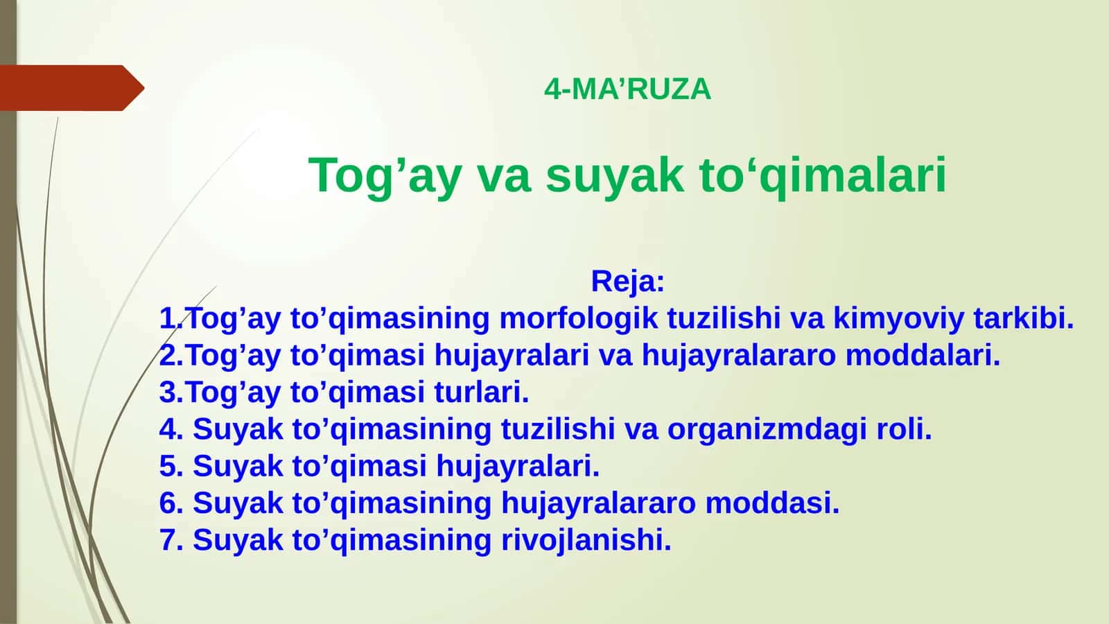 Tog’ay va suyak to’qimalari