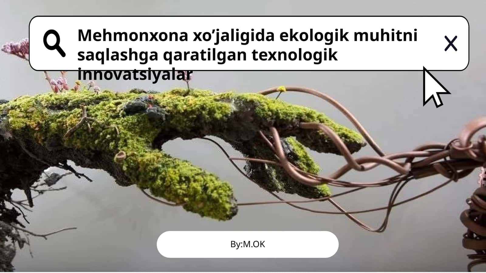 Mehmonxona xo’jaligida ekologik muhitni saqlashga qaratilgan texnologik innovatsiyalar