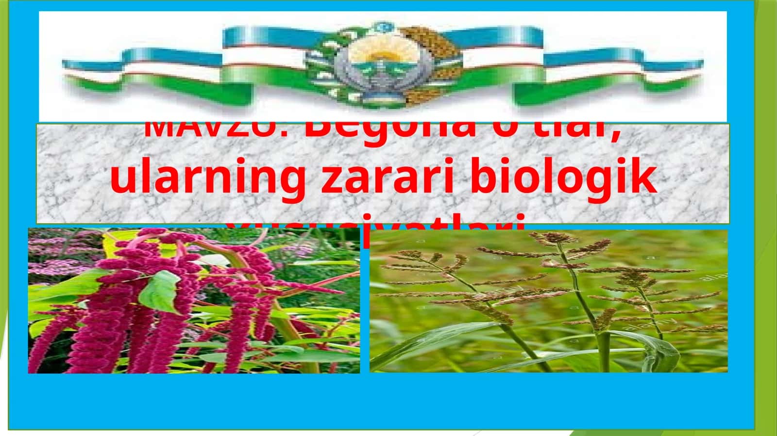 Begona o‘tlar, ularning zarari biologik xususiyatlari