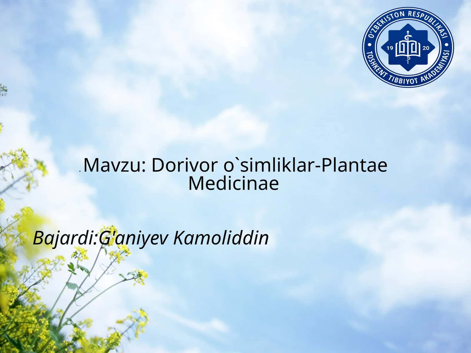 Dorivoro’simliklar-PlantaeMedicinae
