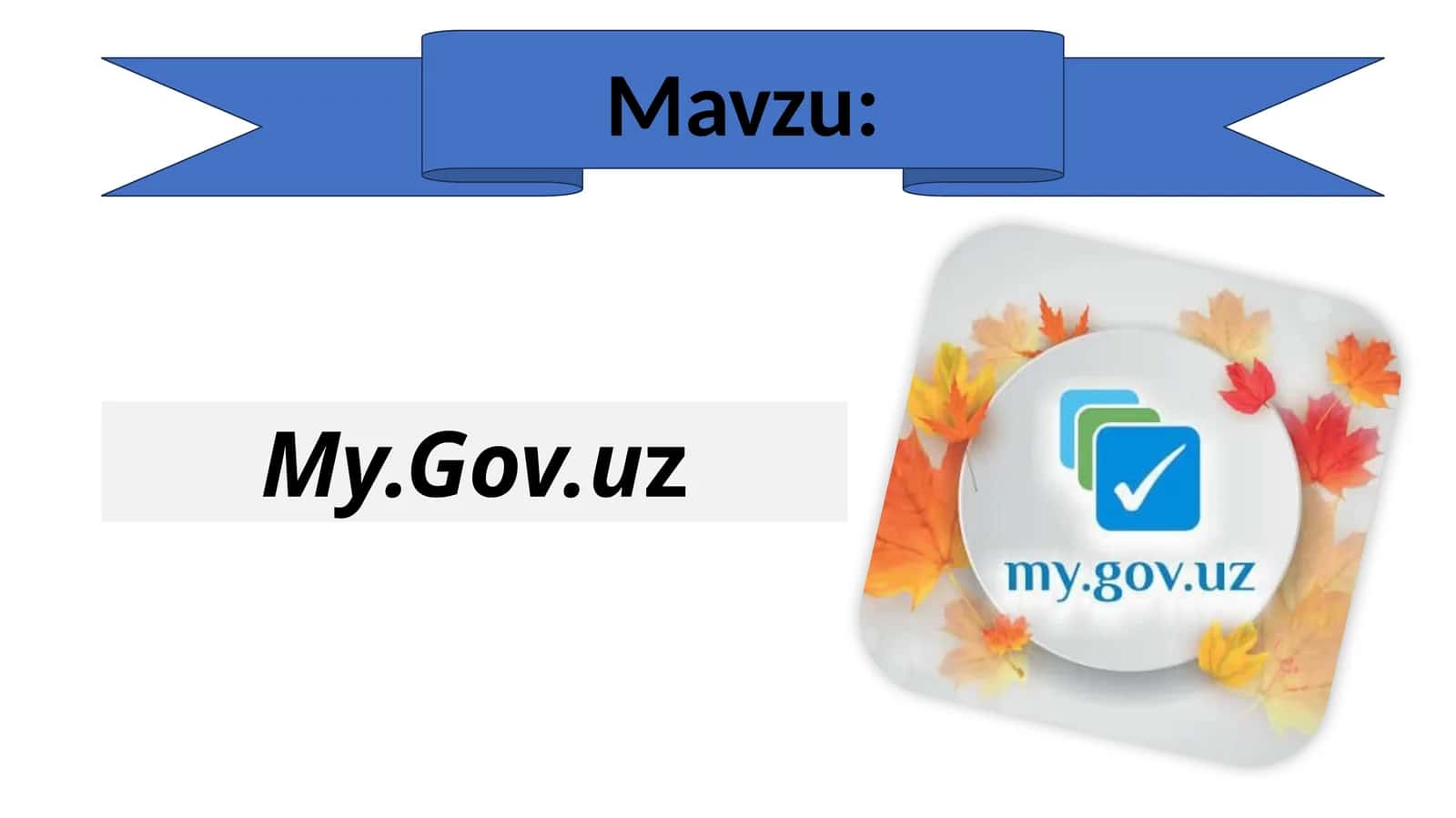 My.gov.uz portalining asosiy maqsad va vazifalari