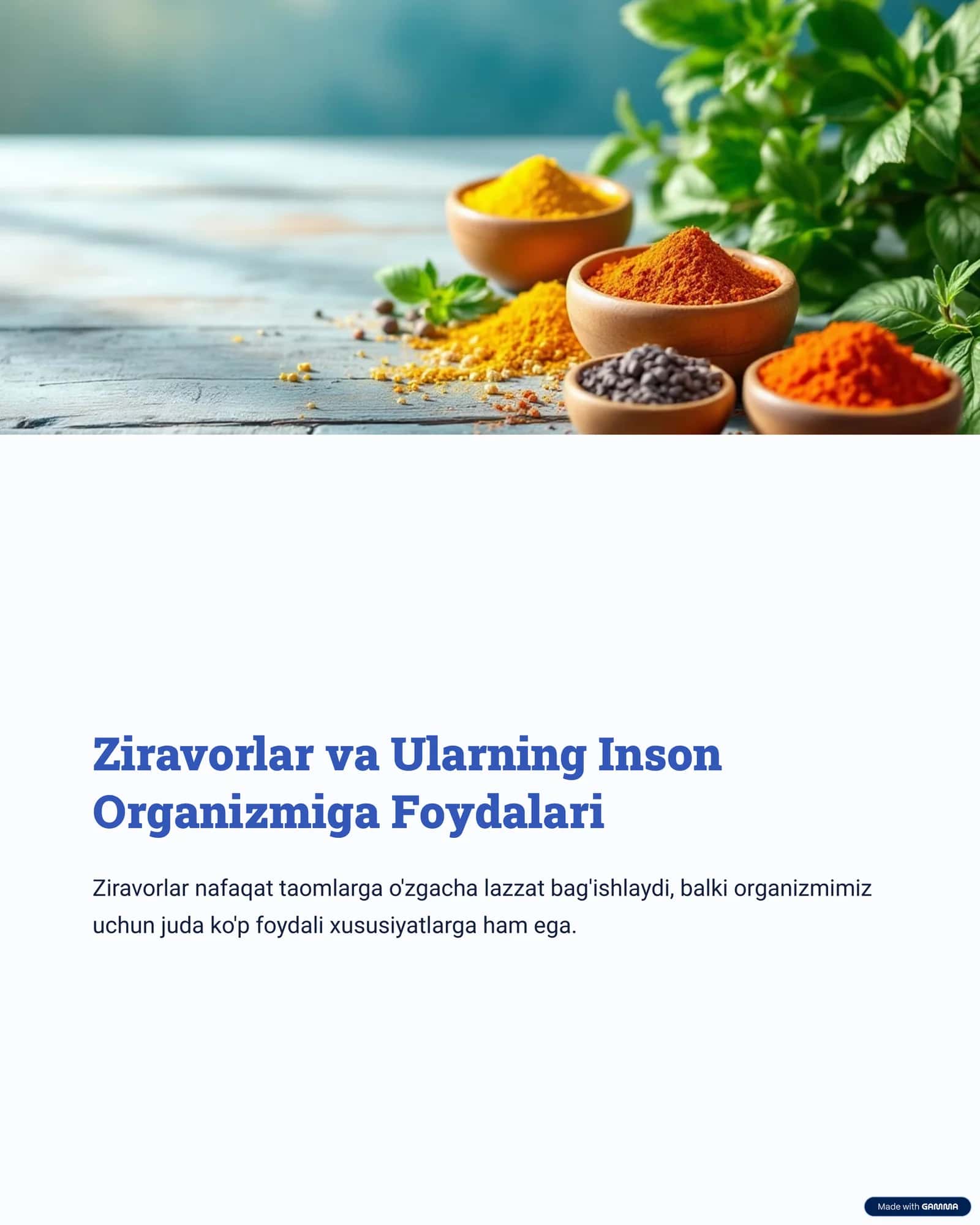 Ziravorlar va Ularning Inson Organizmiga Foydalari