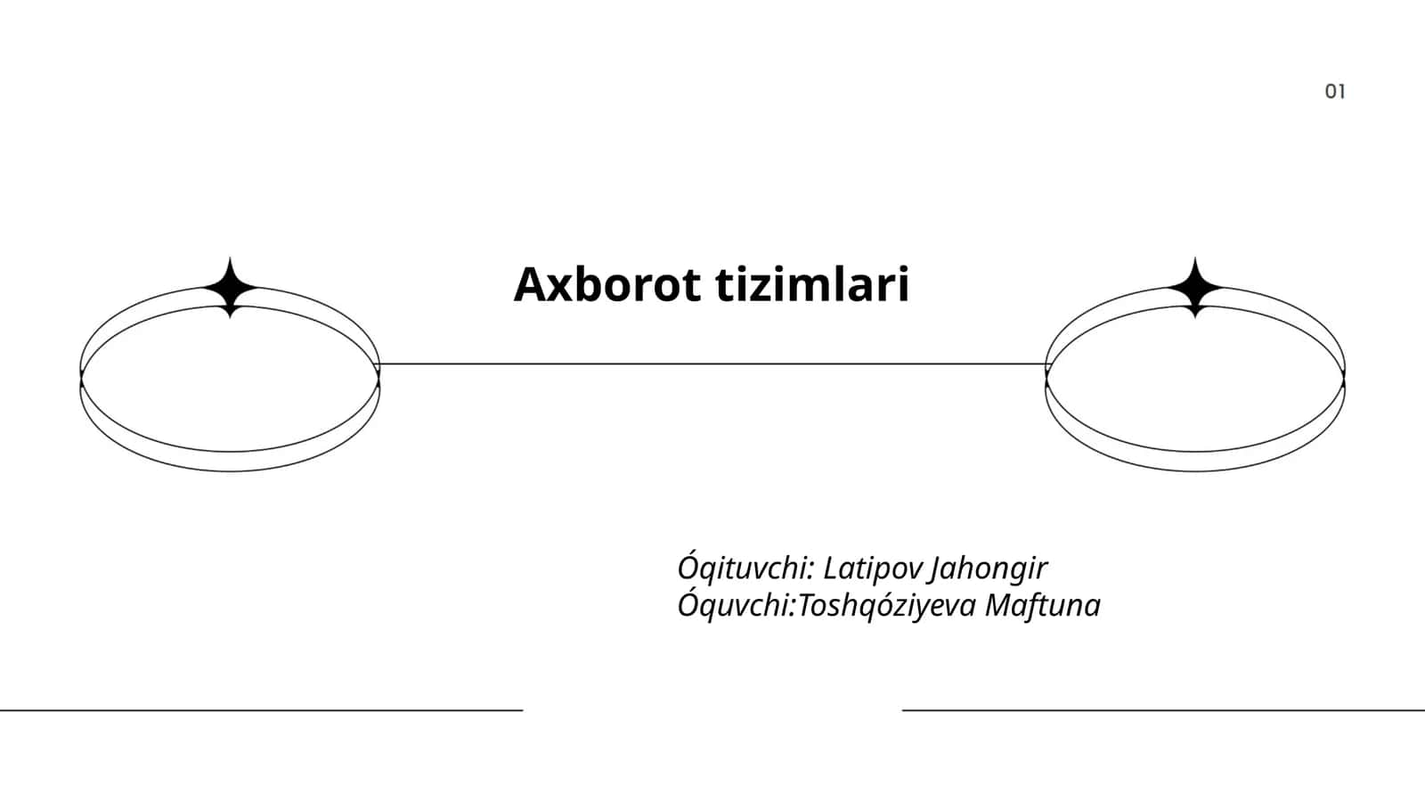 Axborot tizimlari