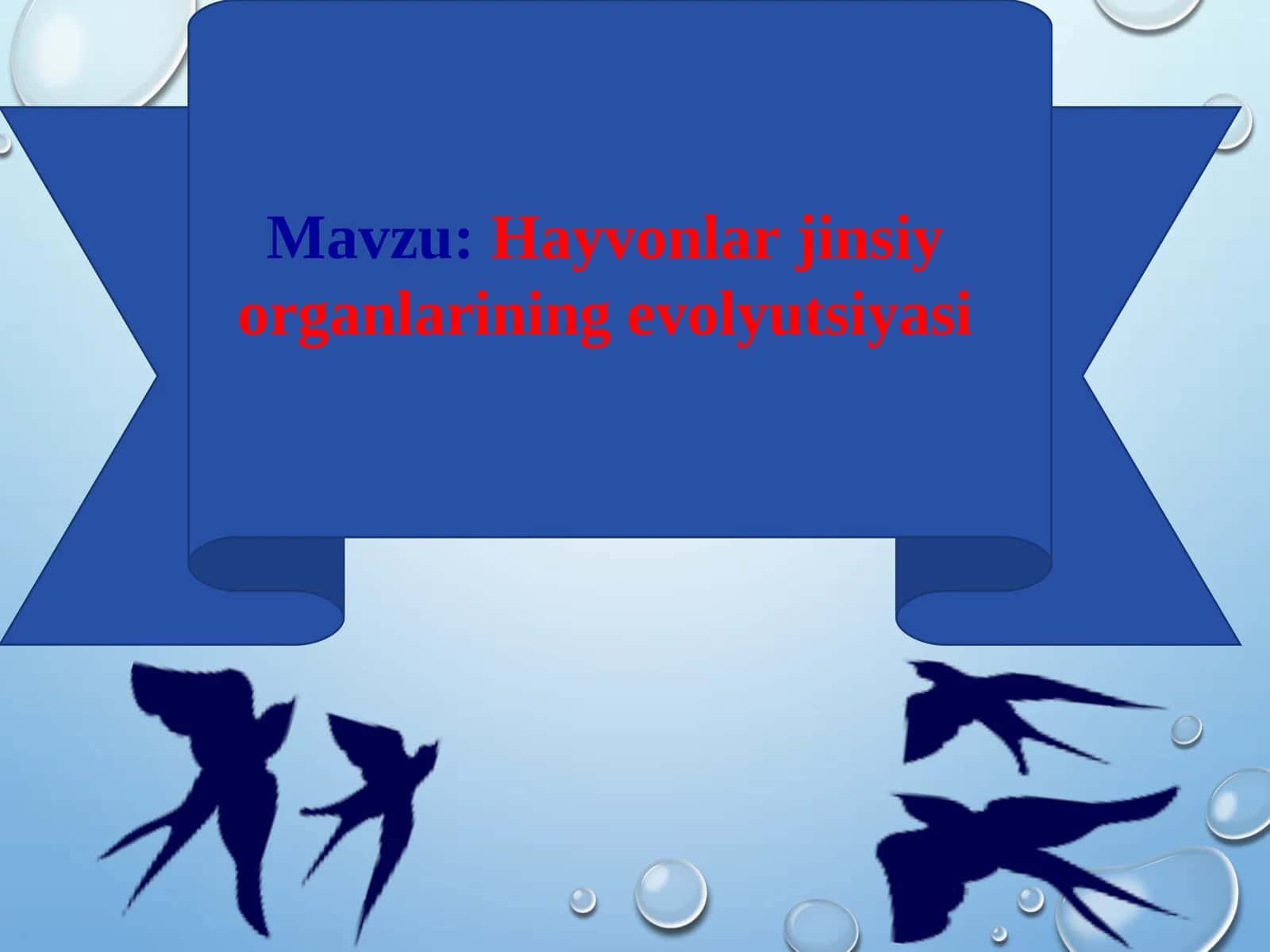 Hayvonlar jinsiy organlarining evolyutsiyasi
