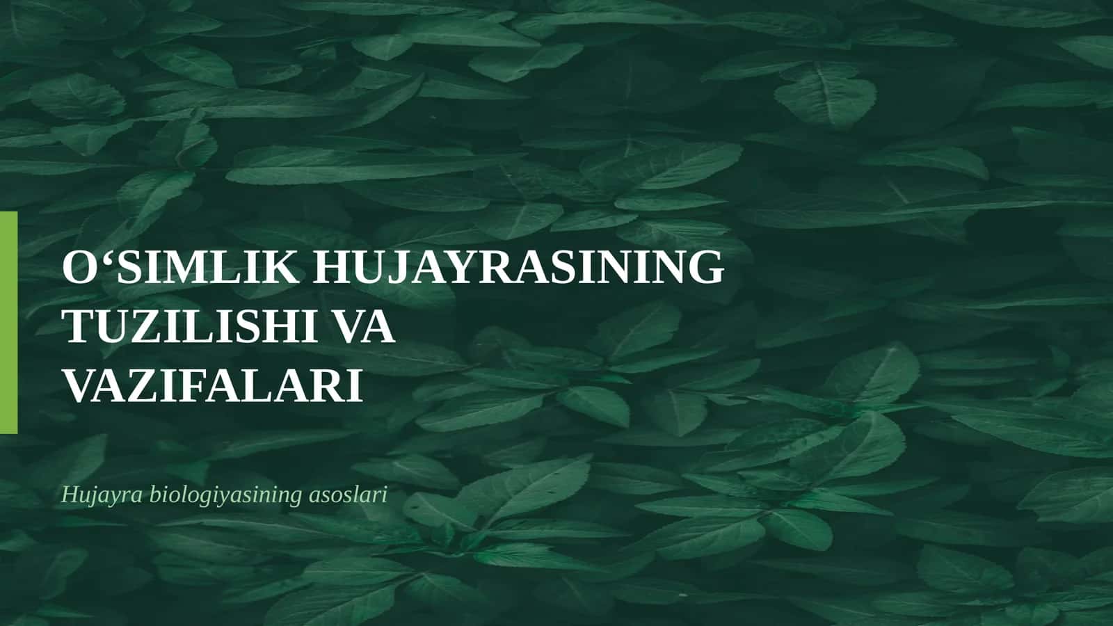 O‘SIMLIK HUJAYRASINING TUZILISHI VA VAZIFALARI