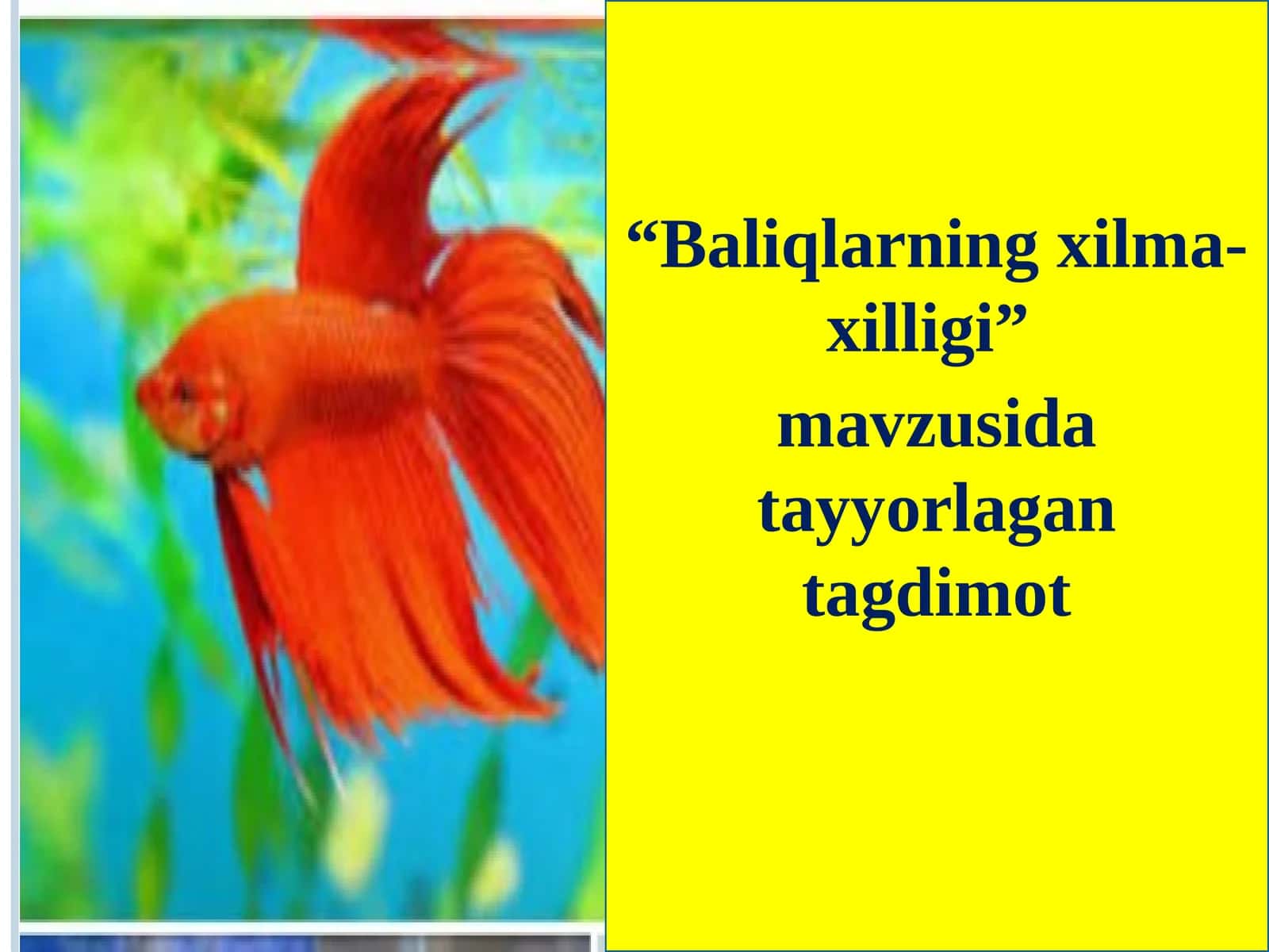 Baliqlarningxilma-xilligi