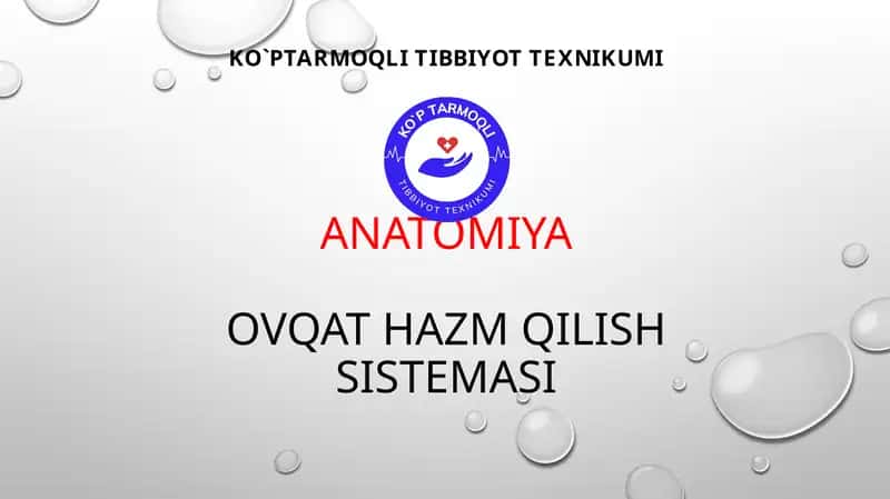 ovqat hazm qilishni