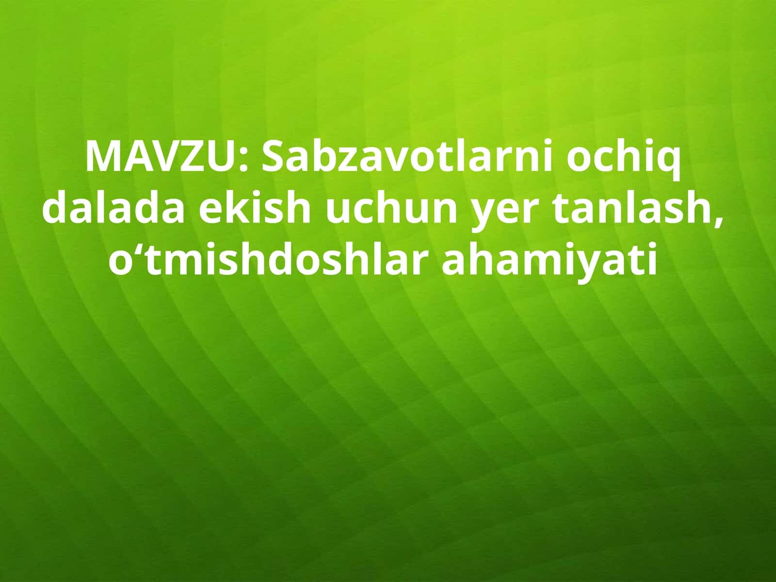 Sabzavotchilik tizimi