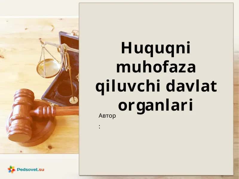 Huquqni muhofaza qiluvchi davlat organi