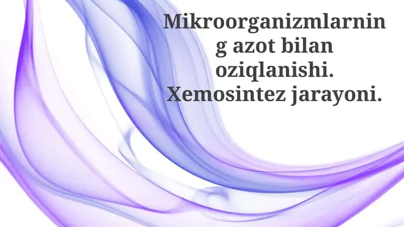 Mikroorganizmlarning azot bilan oziqlanishi va xemosintez jarayoni