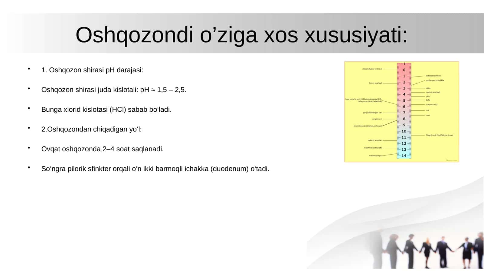 Oshqozon fiziologiyasi: Rasulov