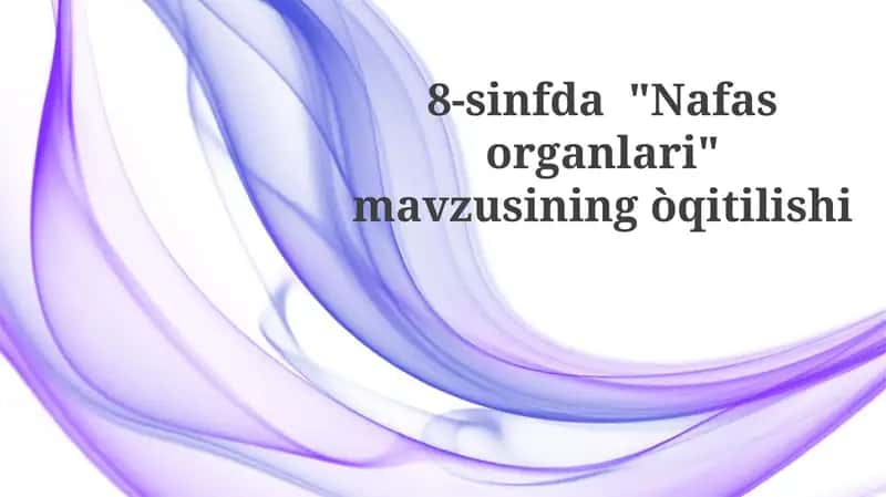 Nafasorganlari