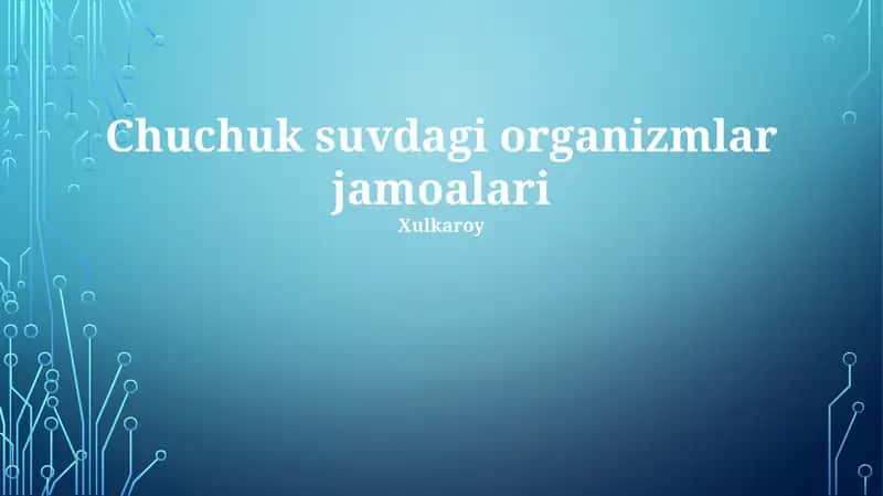 Chuchuk suvdagi organizmlar jamoalari