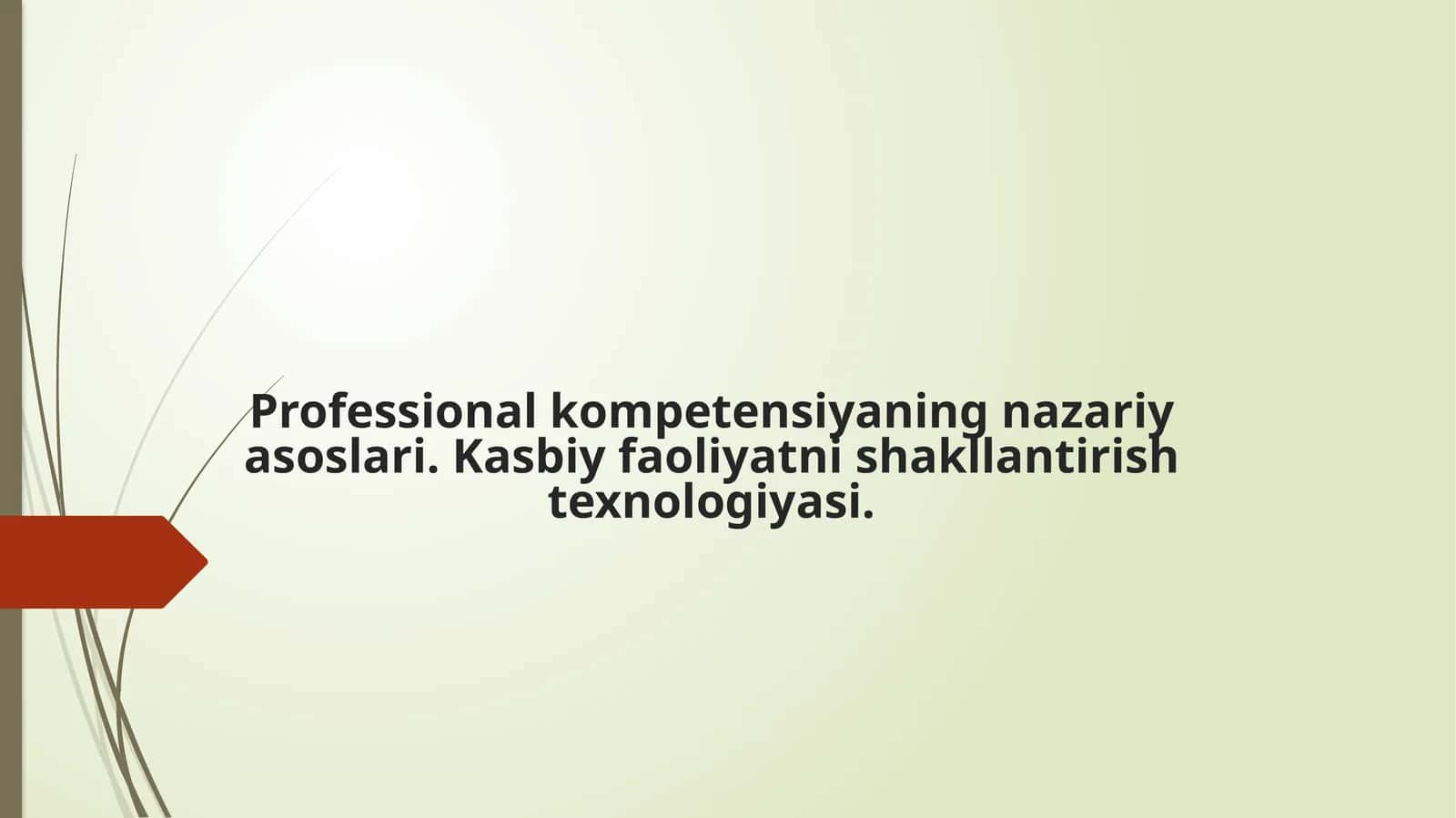 Professionalkompetensiyaningnazariyasoslari.Kasbiyfaoliyatnishakllantirishtexnologiyasi
