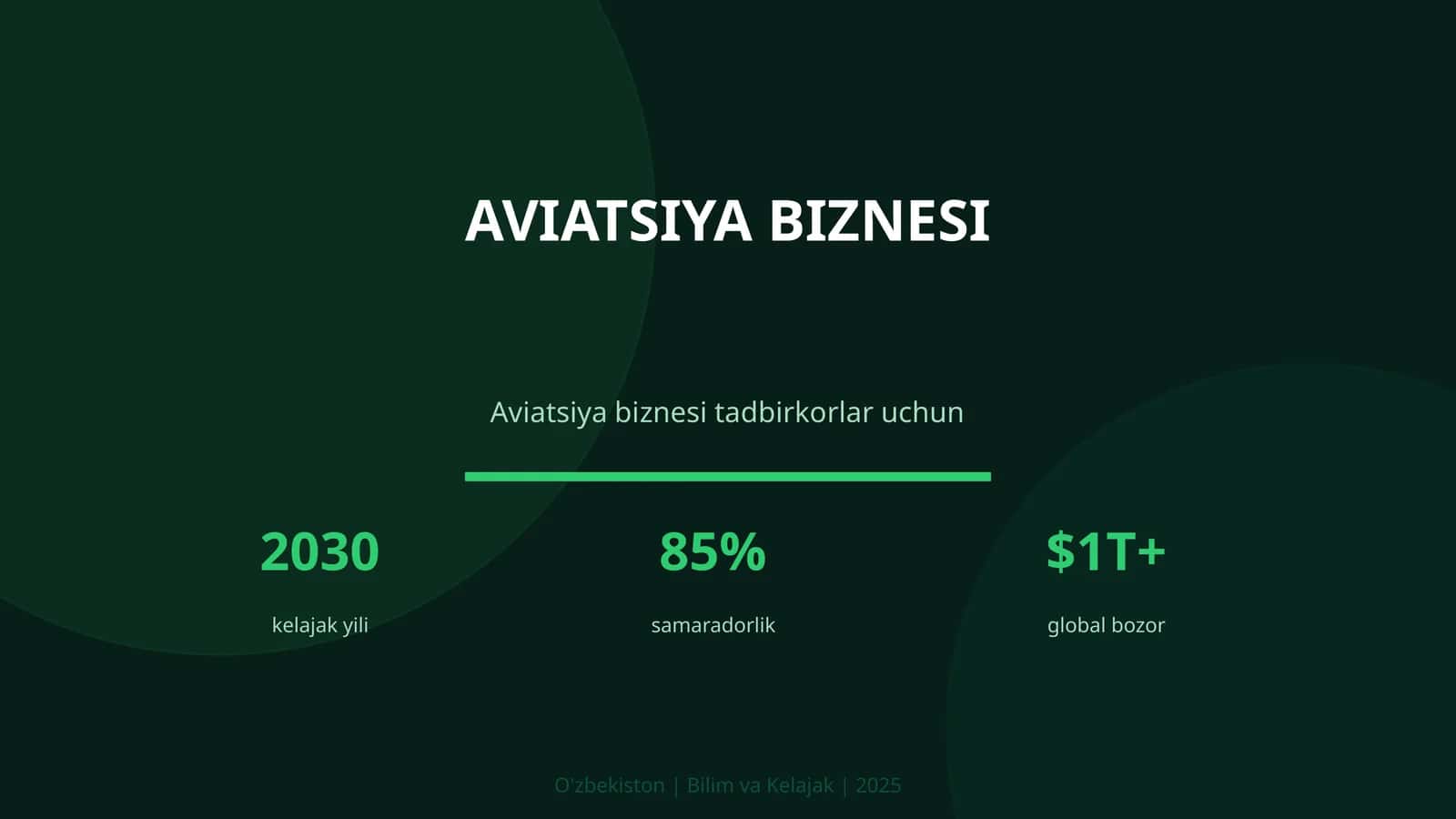 Aviatsiya biznesi