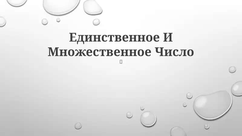 Единственное И Множественное Число