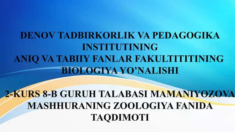 moluskalar tipi haqida ma'lumot