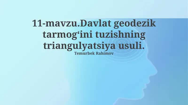 Davlat geodezik tarmog‘ini tuzishning triangulyatsiya usuli