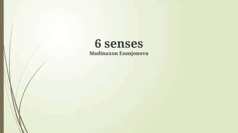6 senses