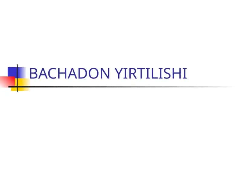 BACHADON YIRTILISHI