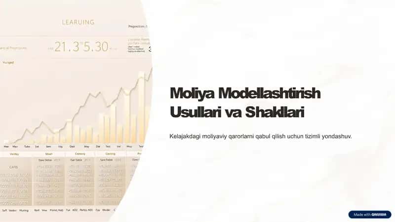 Moliya Modellashtirish Usullari va Shakllari
