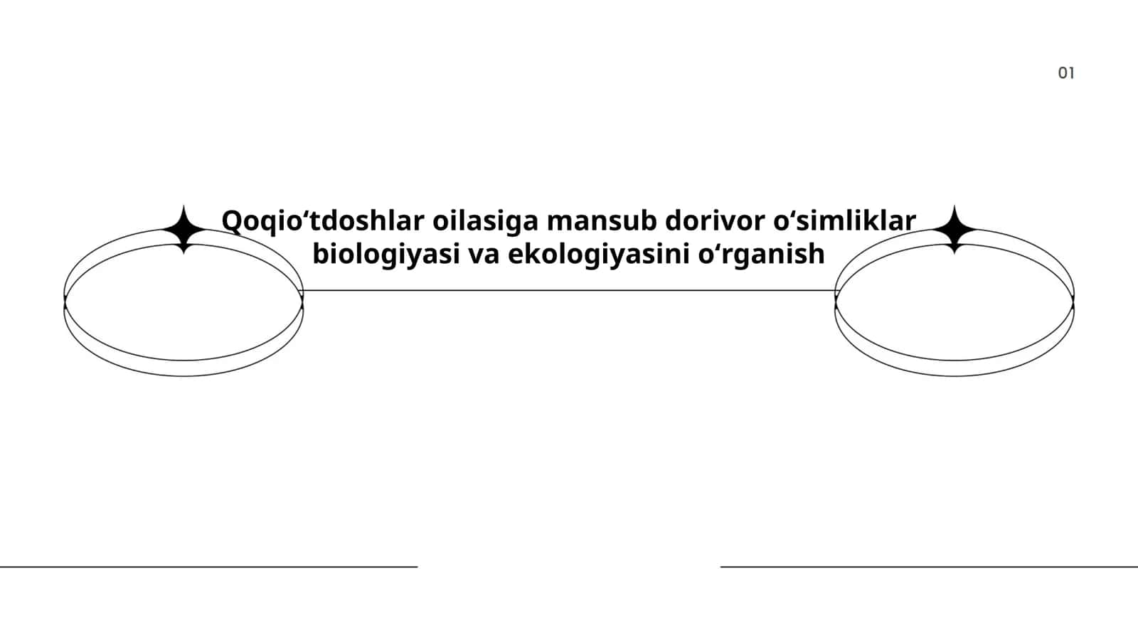 Qoqioʻtdoshlar oilasiga mansub dorivor oʻsimliklar biologiyasi va ekologiyasini oʻrganish