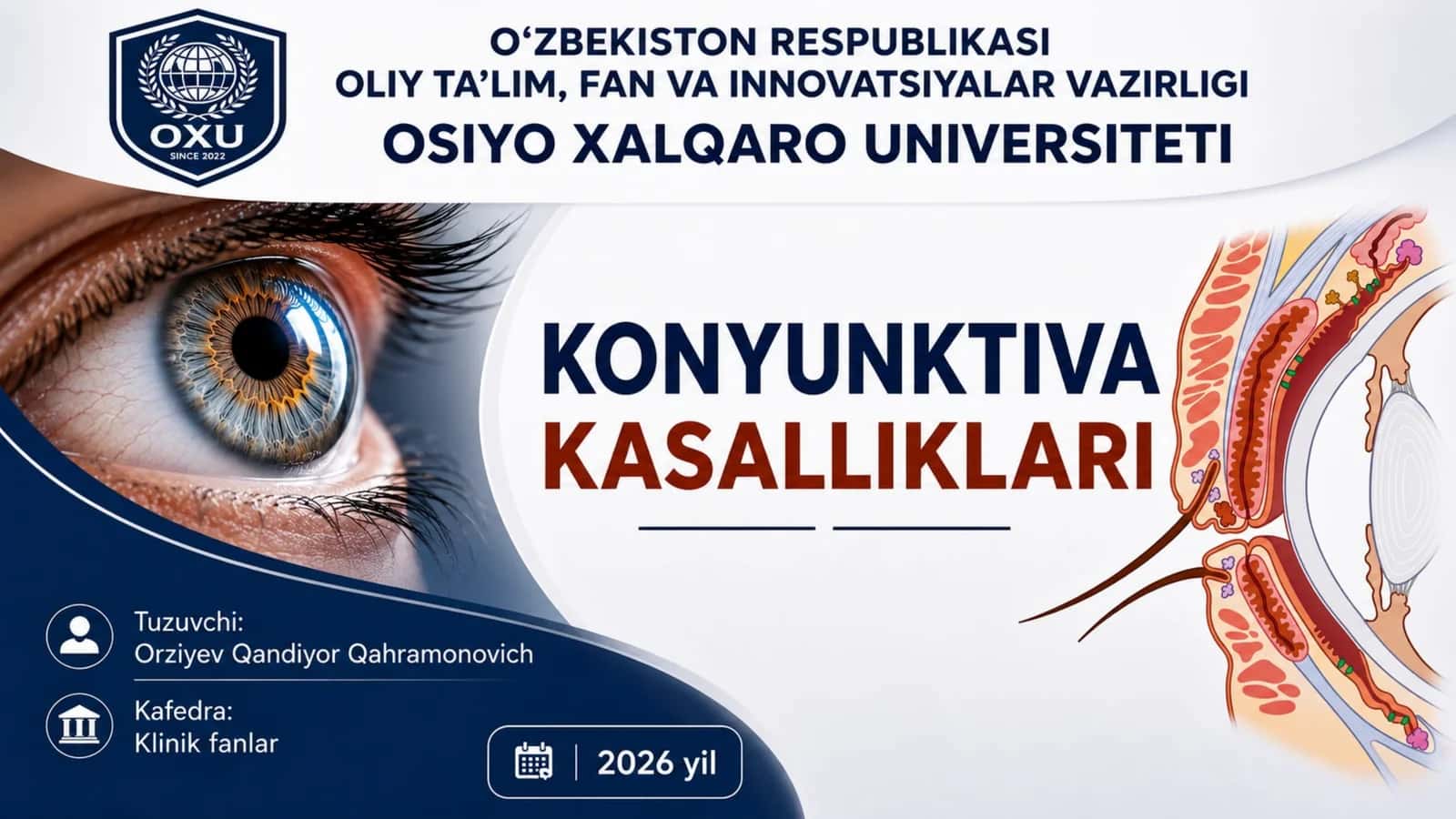 Kon'yunktiva anatomiyasi