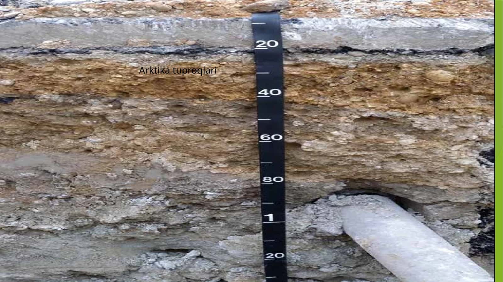 Arktika tuproqlari