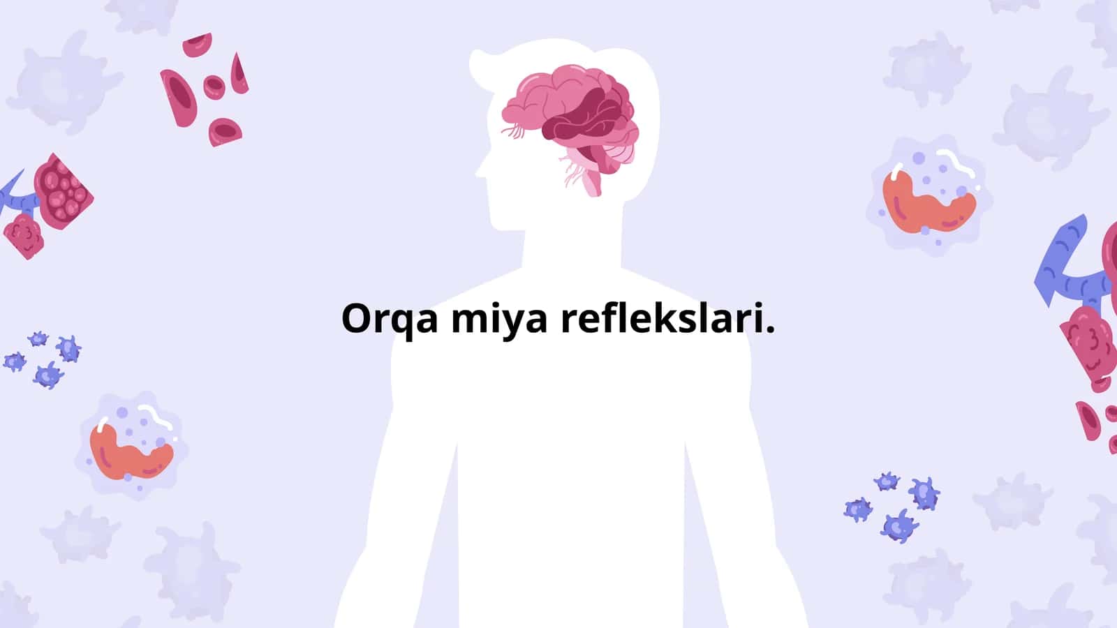 Orqa miya reflekslari