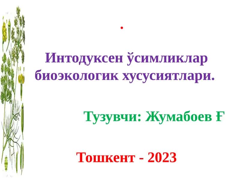 Занжабил