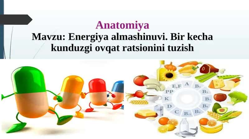 Anatomiya