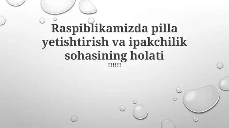 Ipakchilik holati: Qiyinchiliklar va imkoniyatlar