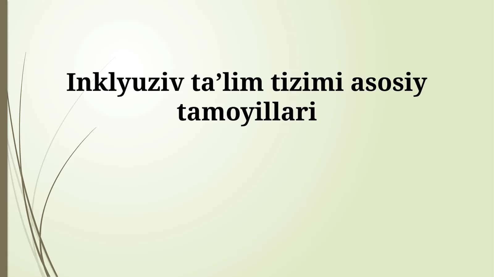 Inklyuziv taʼlim tizimi asosiy tamoyillari