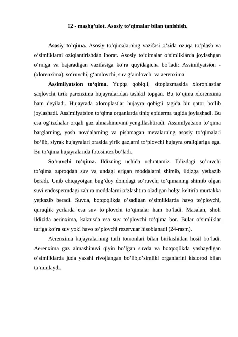Asosiy to'qimalar bilan tanishish
