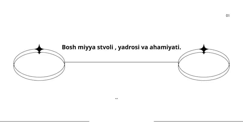 Bosh miyya stvolining anatomiyasi
