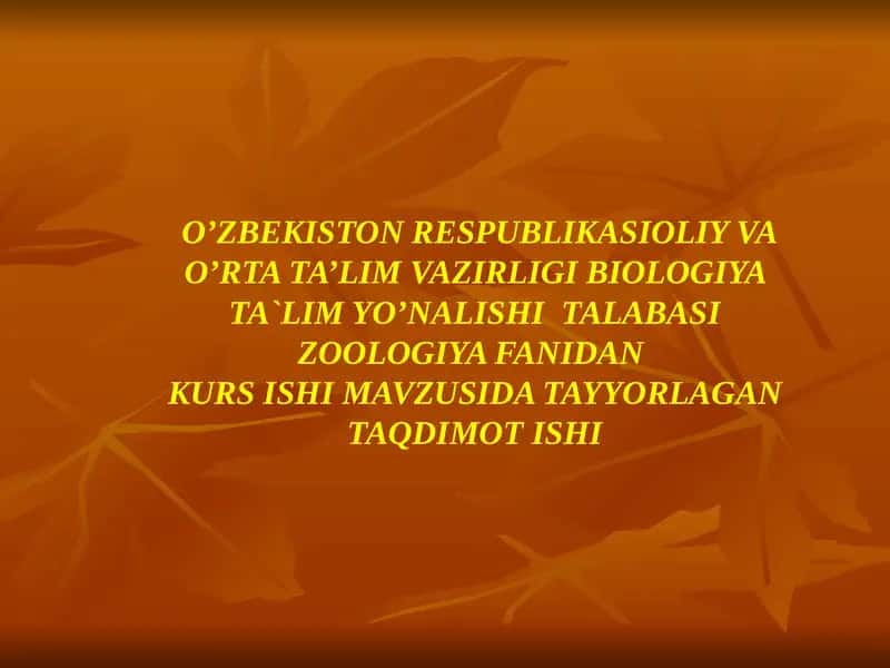 Amfibiyasinfining ekalogiyasi va evalutsiyasi