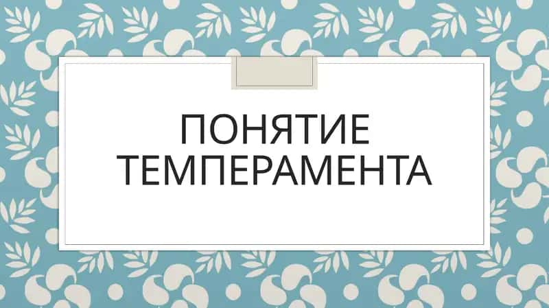 понятие темперамента