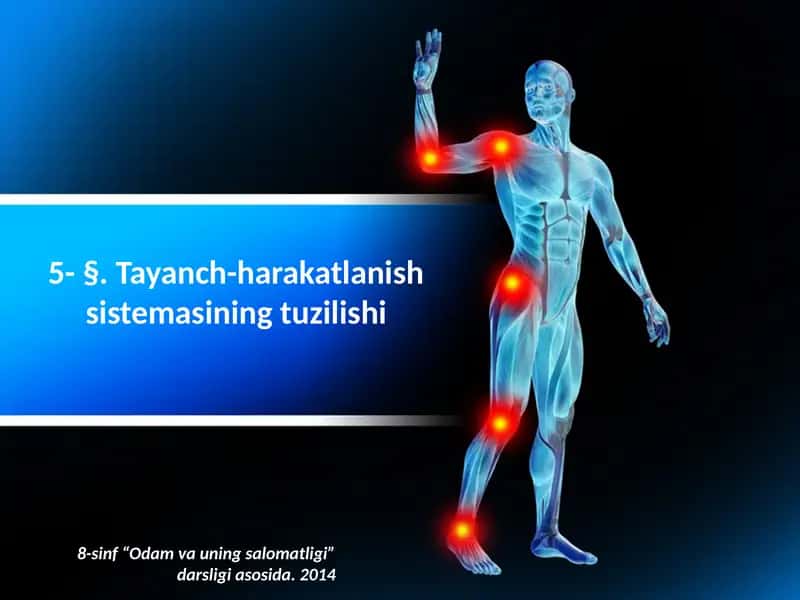 Tayanch-harakatlanish sistemasining tuzilishi