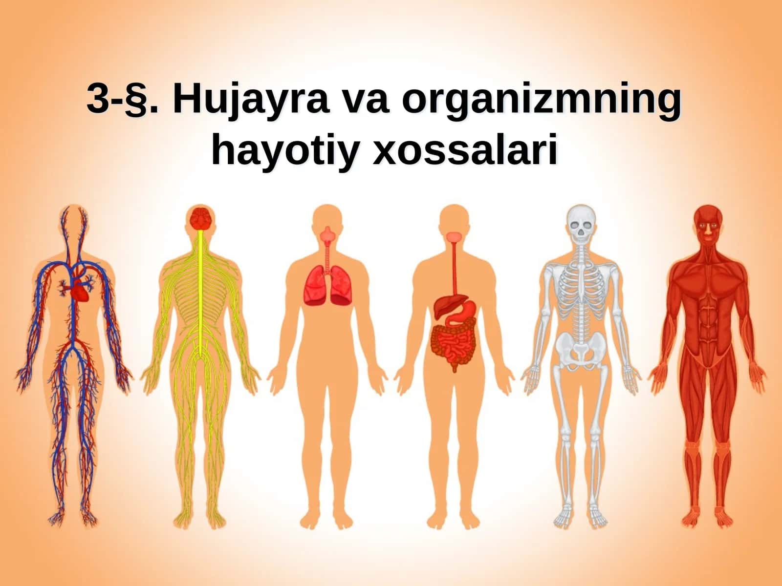 3-§. Hujayra va organizmning hayotiy xossalari
