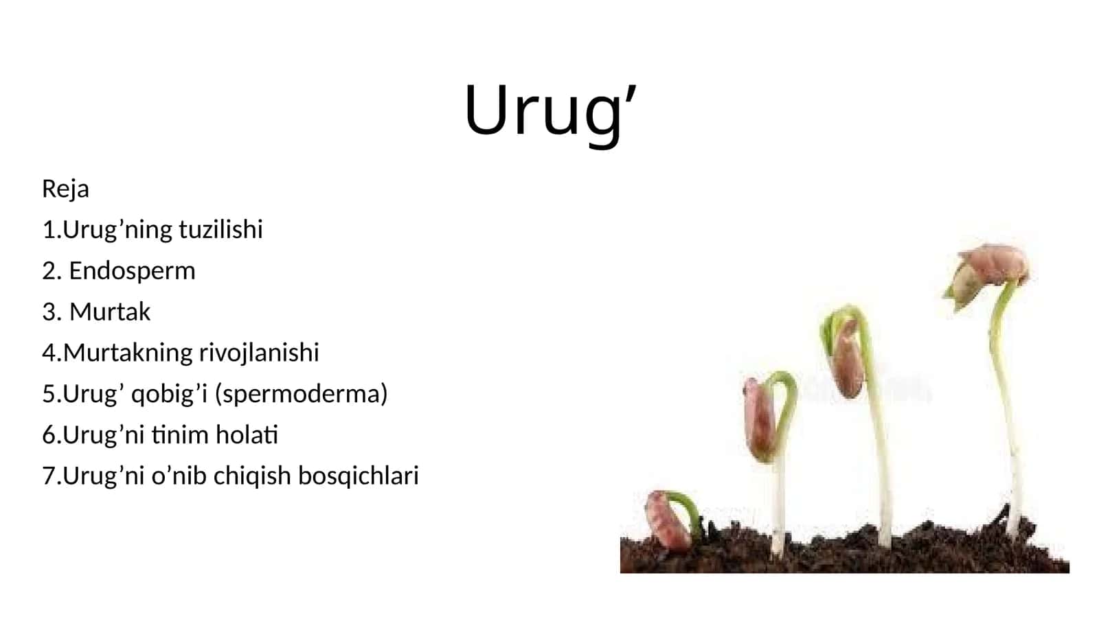 Urug