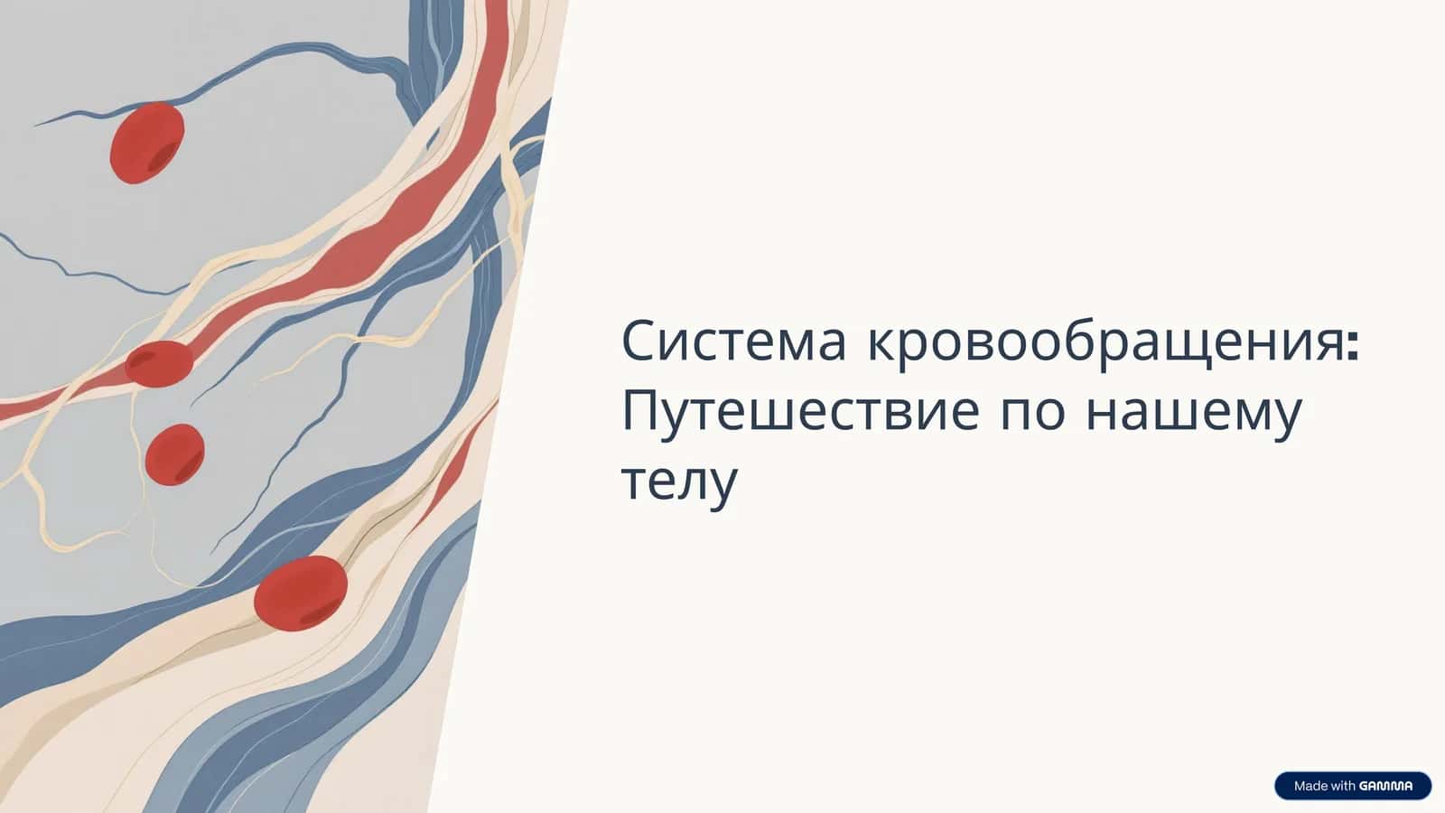 Система кровообращения: Путешествие по нашему телу