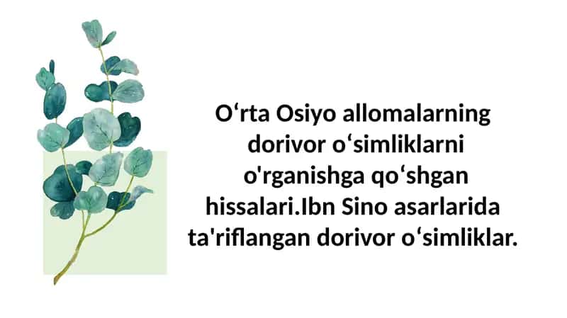 Dorivor o‘simliklar