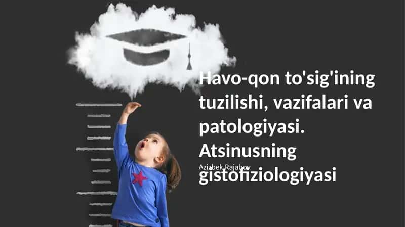Havo-qon to'sig'ining tuzilishi