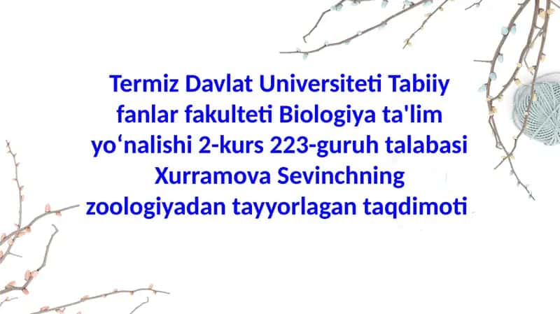 Qilichdumlilar(Xiphosura) sinfibiologiyasi va ekologiyasi