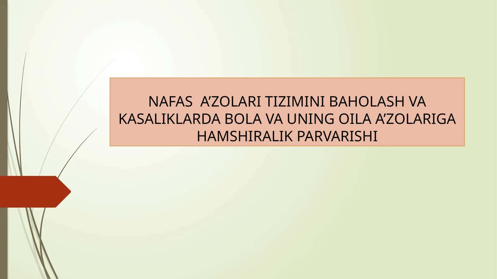 NAFAS A’ZOLARI TIZIMINI BAHOLASH VA KASALIKLARDA BOLA VA UNING OILA A’ZOLARIGA HAMSHIRALIK PARVARISHI