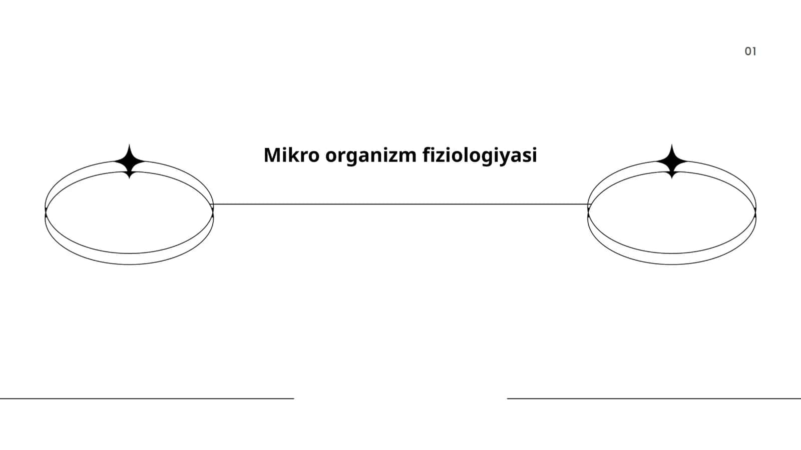 Mikro organizm fiziologiyasi