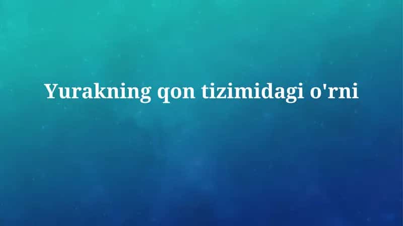 Yurakning qontizimidagio'rni
