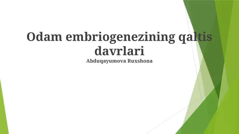 Odam embriogenezining qaltis davrlari