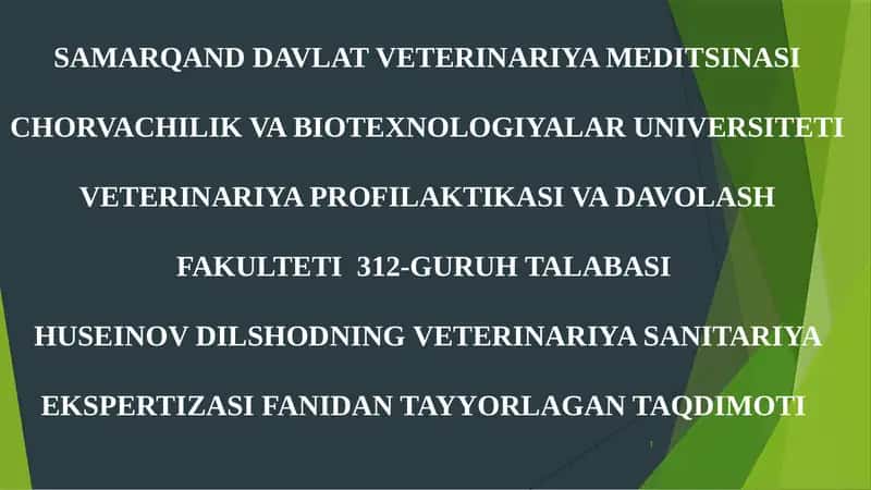 Tuzlangan sabzovotlarni sanitariya jixatdan tekshirish